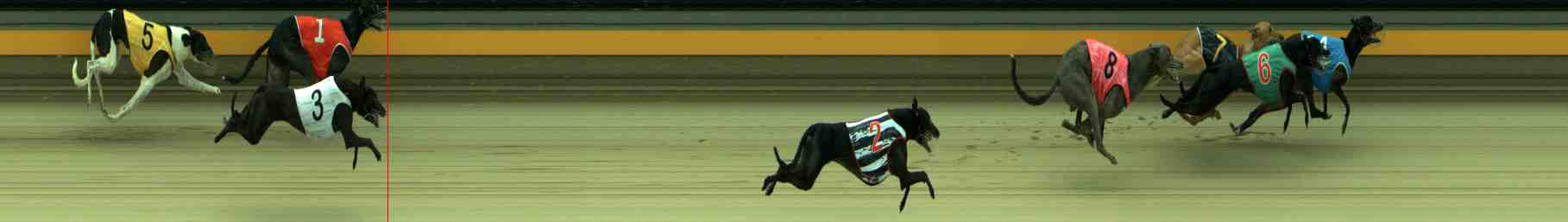 Race result finish photo